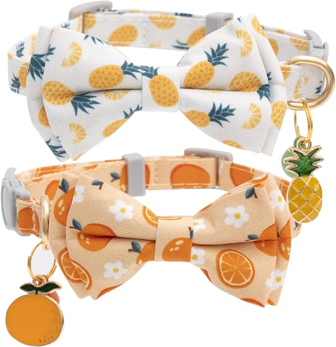 Faygarsle 2 Pack Cute Cat Collar by Faygarsle
