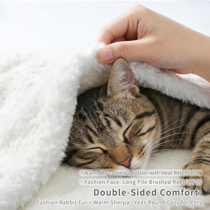 Cat Blanket for Indoor Cats Ultra-Soft Plush Small Blanket Machine Washable - Image 2