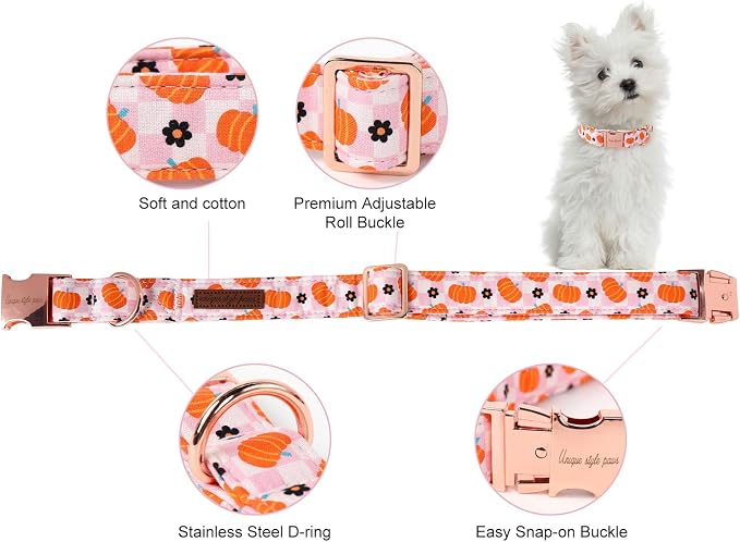 Unique style paws Dog Collar Metal Buckle Collar - Image 2