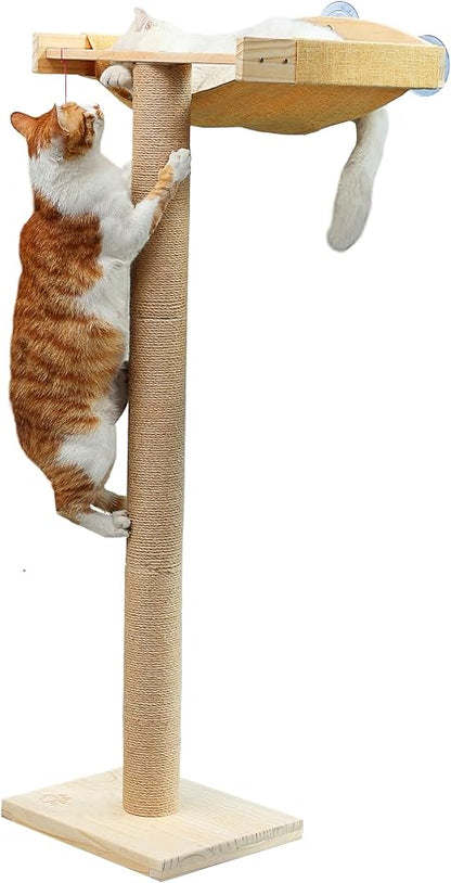 Cat Window Perch with Tall Scratching Posts, Inside 46" Climbing Tree Hammmock by Caloreduce