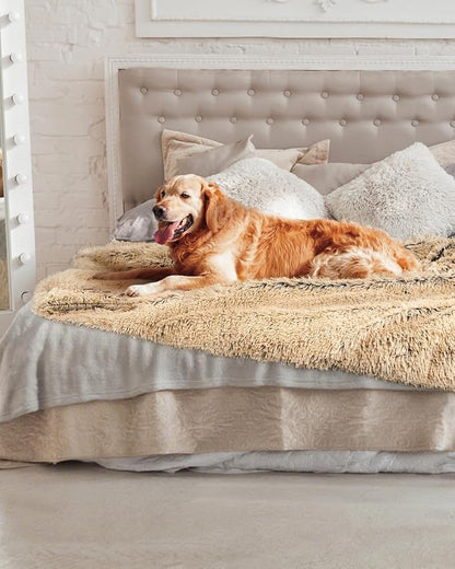 PJYuCien Dog Blankets for Medium Large Dogs Washable - Image 7