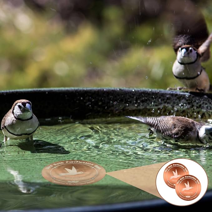4Pcs Pure Copper Bird Bath Purification Disk, 0.6mm thick, All-Season Safe - Image 7