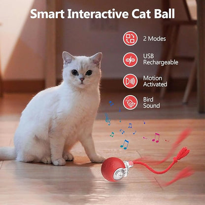 FUNNYDUCK Speed 2.0 Tail Interactive Cat Toys - Image 2