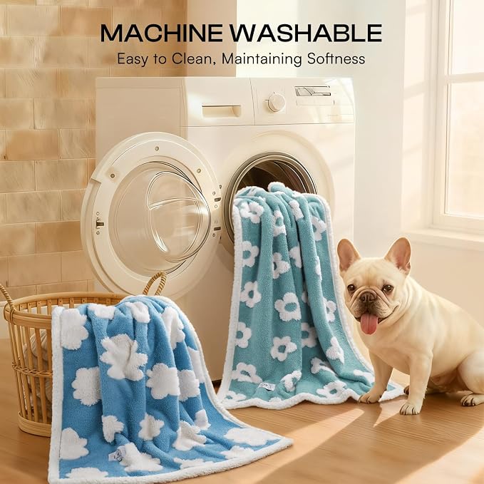 Luciphia Waterproof Pet Blanket - Image 6
