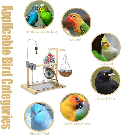 Bird Stand Fun Straw Bell Toys, Parrot Wooden Platform Stand - Image 7