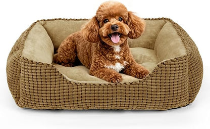 MIXJOY Rectangle Washable Orthopedic Dog Bed by MIXJOY