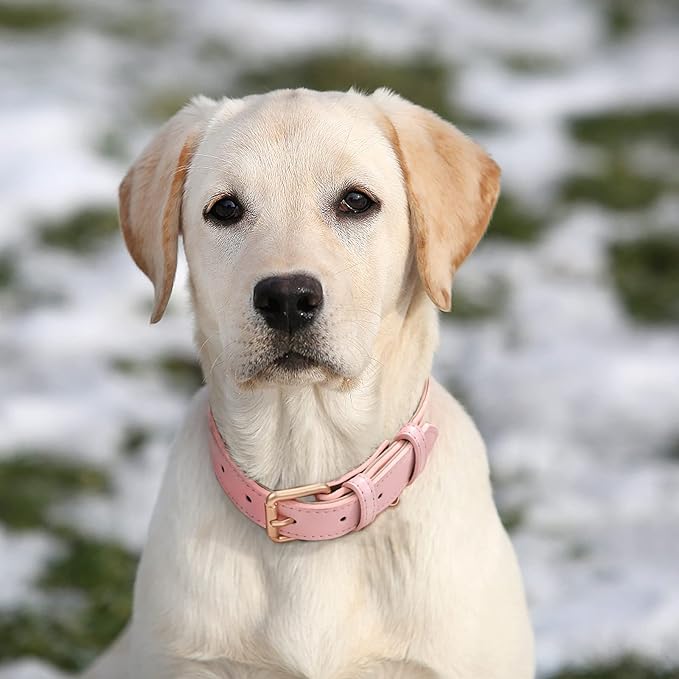 WHIPPY Leather Dog Collar for Small Medium Large Dog Adjustable Soft Breathable - Image 2