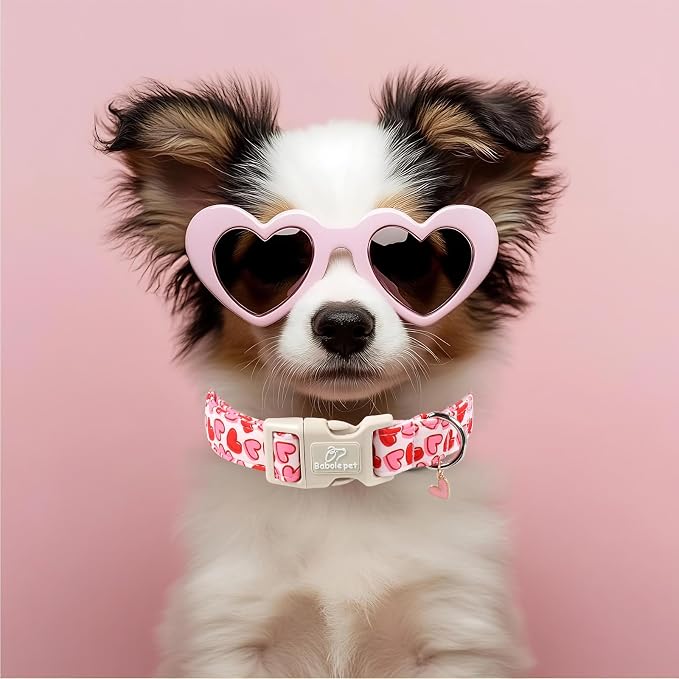 Valentines Dog Collar for Small Dogs - Image 2