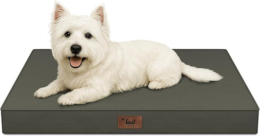 Outdoor Dog Bed for Small Dogs & Cats, Waterproof Dog Crate Mat Orthopedic Egg by TailStories
