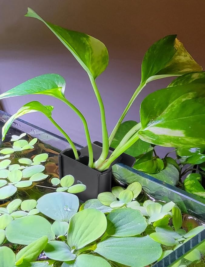 2 Pk Upgraded Aquarium Plant Holder, Hanging Aquarium Plant Holder - Image 2