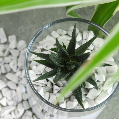 1lb Howlite Aquarium Gravel Rocks Natural Tumbled Healing Crystal Chips Bulk - Image 4