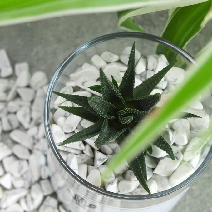 Howlite Aquarium Gravel Rocks Natural Tumbled Healing Crystal Chips Bulk - Image 4