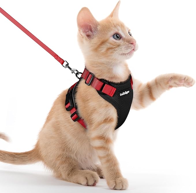 rabbitgoo Cat Harness and Leash by rabbitgoo