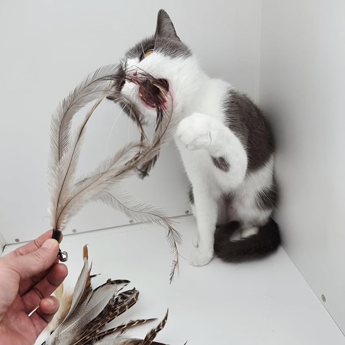Natural unstained Feathers, Cat Feathers Refill - Image 2