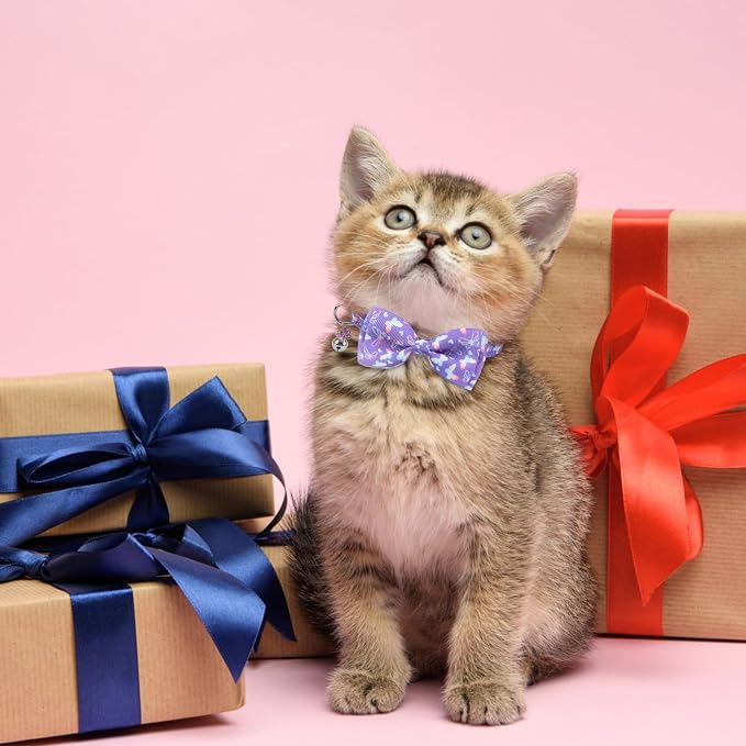 SCENEREAL Cat Collar with Bells, Safety Kitten Collar - Image 7