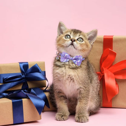 SCENEREAL Cat Collar with Bells, Safety Kitten Collar - Image 7