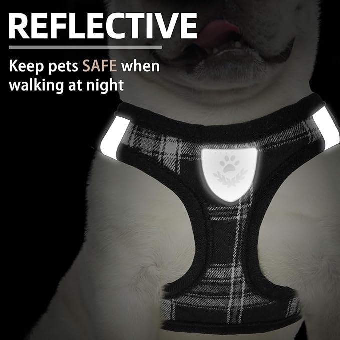 PUPTECK Adjustable Dog Harness Collar and Leash Set Step in No Pull Pet Harness - Image 5