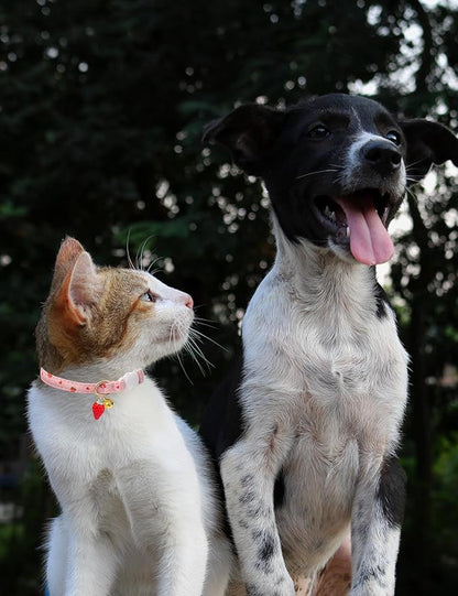 Cat Collar Breakaway with Bells, 3 Pack Safety Adjustable Pet Collars - Image 5