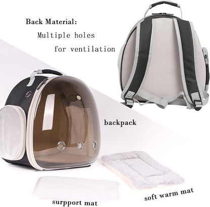 Bearded Dragon Travel Backpack Carrier - Image 5