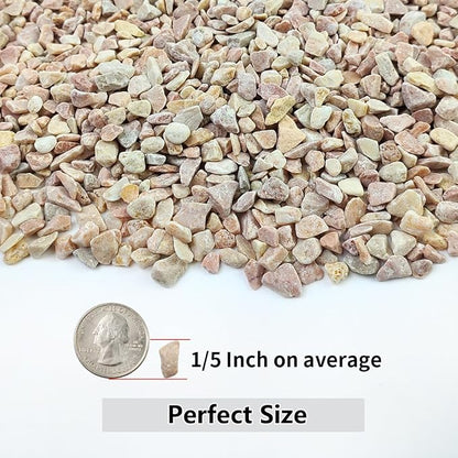 10LB Succulent and Cactus Gravel Pebbles, 1/5 Inch Natural Decorative Polished - Image 2