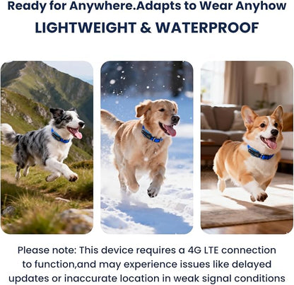 AI GPS Tracker for Dogs, Real Time Location and AI Vet Health Management - Image 8