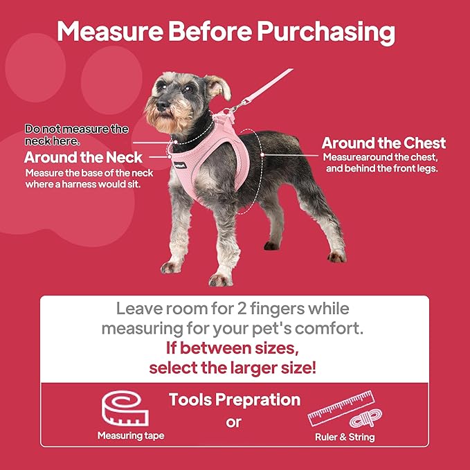 PetiFine Extra Small Step in Dog Harness and Leash Set, Cat Harness and Leash - Image 9