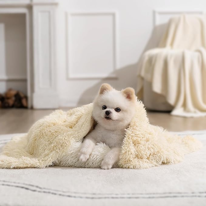 gogobunny Waterproof Dog Blanket by gogobunny