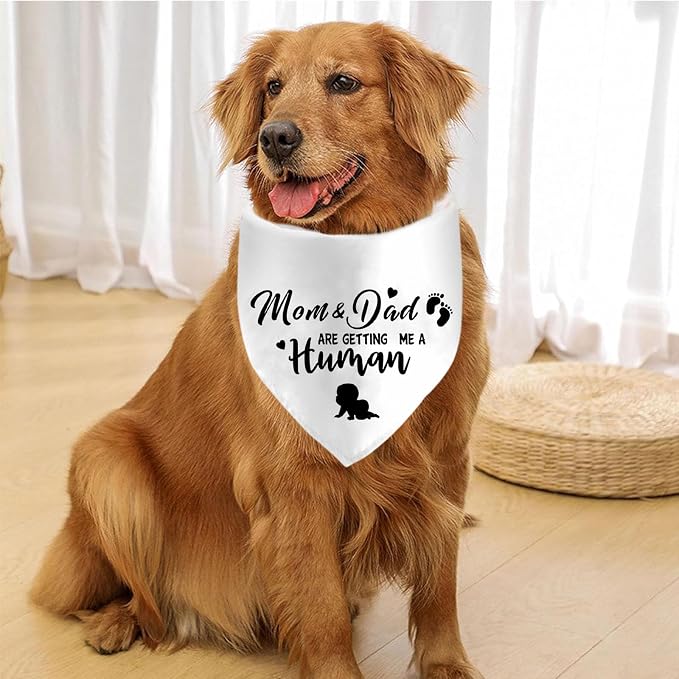 Mom&Dad are Getting Me a Human Dog Bandanas, Pregnancy Announcement Dog Bandanas - Image 5