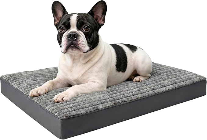 Small Dog Bed Sized Dogs, Orthopedic Flannel Pet Bed by Unknown