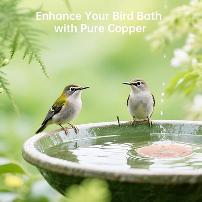 2 Pack Bird Bath Copper Disk, Premium 0.6mm Sturdy 99.99% Pure Copper Disk - Image 6