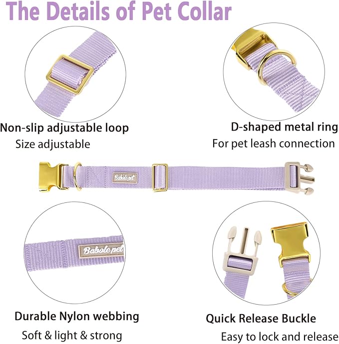 Nylon Dog Collar - Image 4