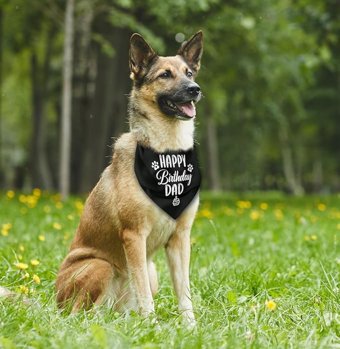 K31 Happy Birthday Dad Dog Bandana - Image 4
