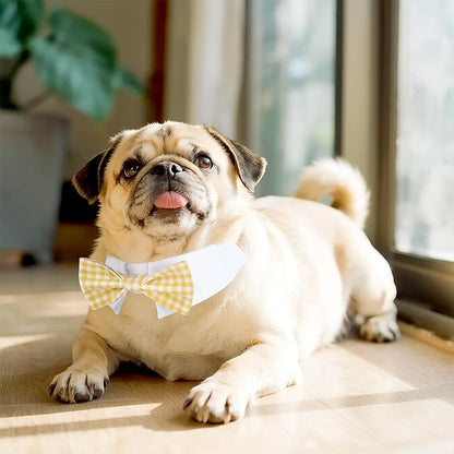 Segarty Dog Bow Tie, Adjustable Yellow Plaid Bowtie Collar - Image 6