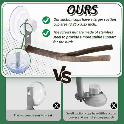 2 Pcs Natural Bird Perch Stand - Image 4