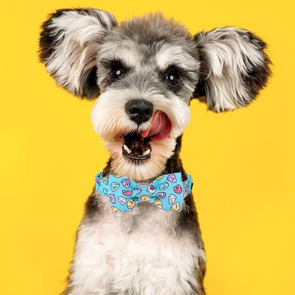 MR. CHUBBYFACE Valentine's Dog Collar - Image 4