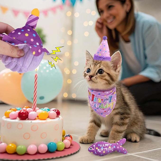 BINGPET Cat Birthday Catnip Toys - Image 7