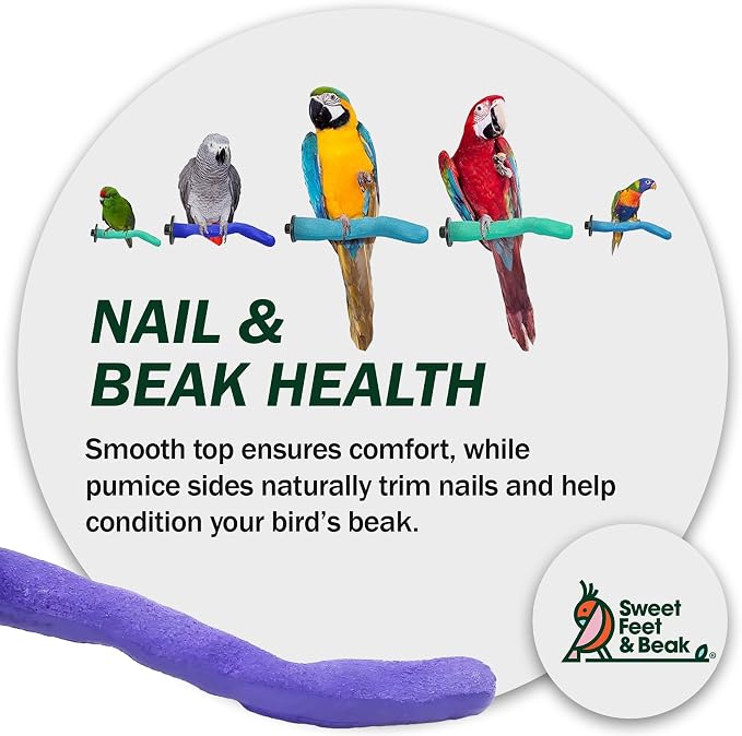 Sweet Feet and Beak Safety Pumice Perch - Image 8