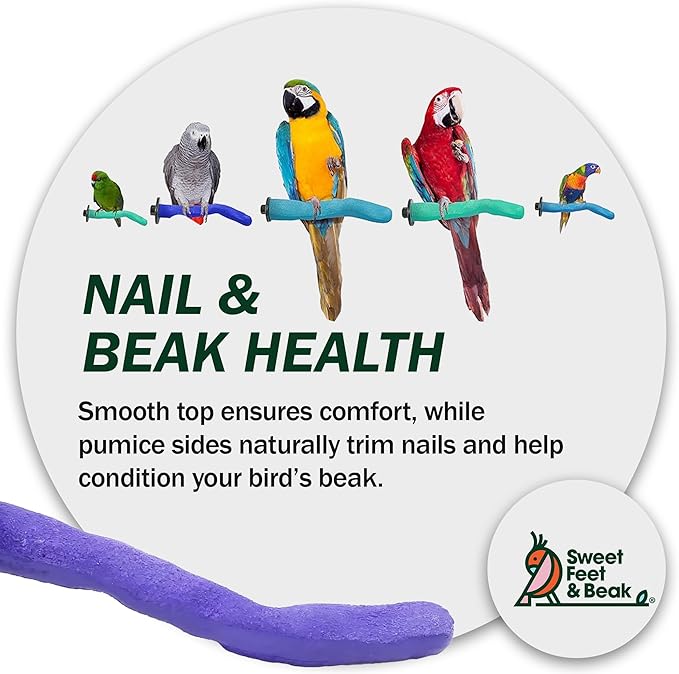 Sweet Feet & Beak Safety Pumice Bird Perch, X-Small 1/2" X 6" - Image 8