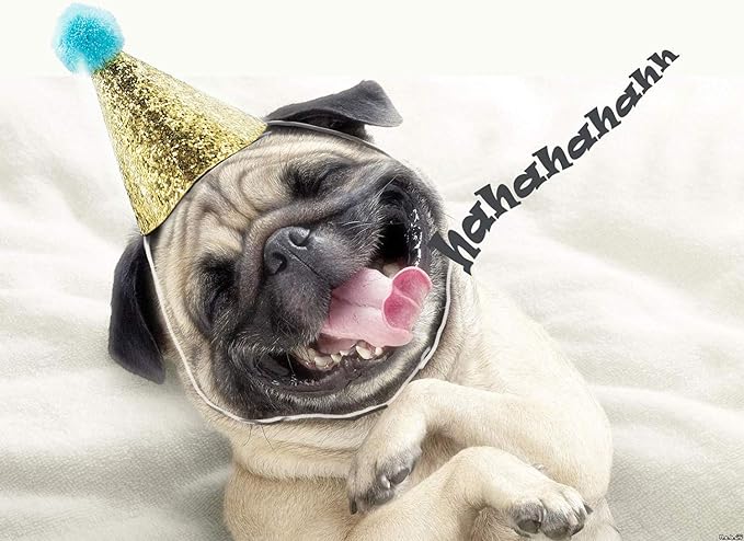 4pcs- Dog Birthday Hat for Pets Party Decoration Supplies， Cat Kitten Headband - Image 4