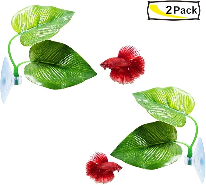 CousDUoBe 2 Pack Betta Fish Leaf Pad Improves Betta's Health by Simulating The - Image 8