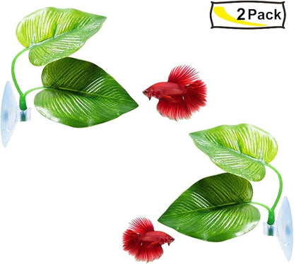 CousDUoBe 2 Pack Betta Fish Leaf Pad Improves Betta's Health by Simulating The - Image 8