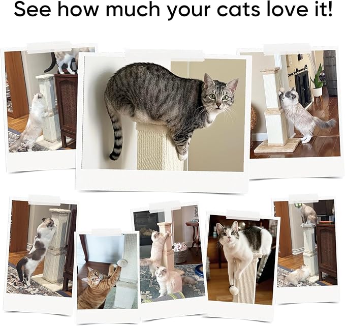 AGYM Cat Scratching Post, 32 Inch Cat Scratching Posts - Image 6