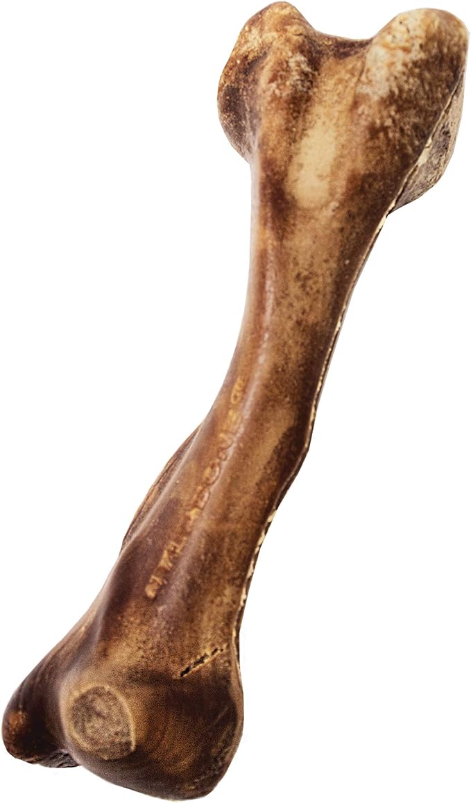 Nylabone Healthy Edibles WILD Natural Longer-Lasting Chew Treats, Venison Flavor - Image 9