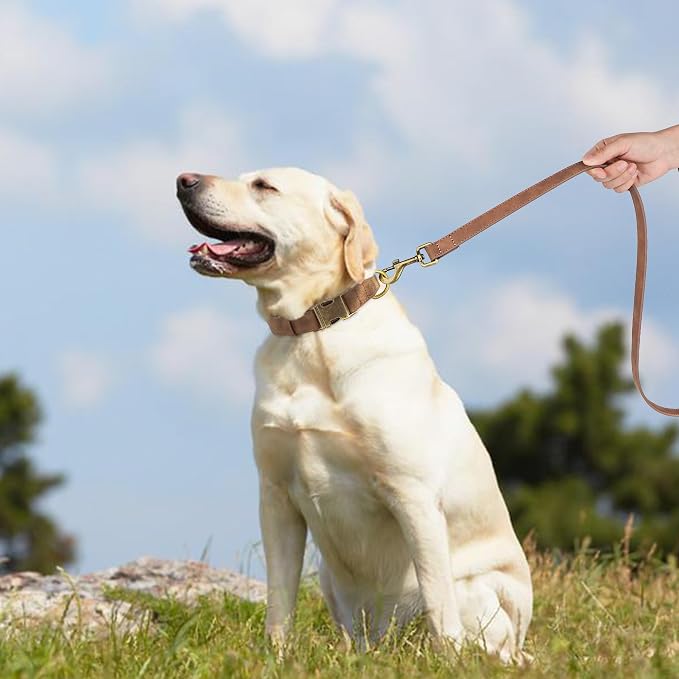 Didog Soft PU Leather Dog Collar, Stylish Quick Released Dog Collar - Image 3