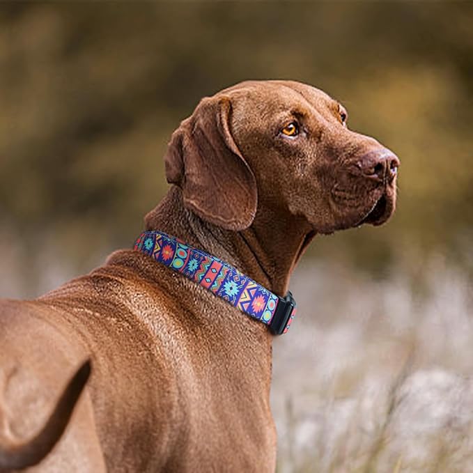 QQPETS Adjustable Soft Dog Collar: Print Flower Pink Multicolor Cute Patterns - Image 2