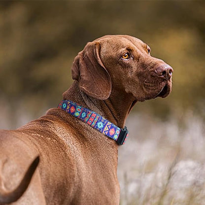 QQPETS Adjustable Soft Dog Collar: Print Flower Pink Multicolor Cute Patterns - Image 2