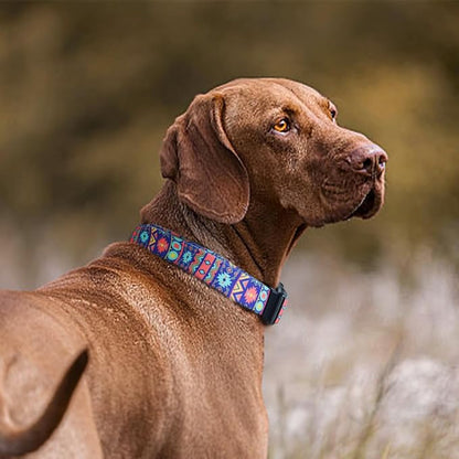QQPETS Adjustable Soft Dog Collar: Print Flower Pink Multicolor Cute Patterns - Image 2