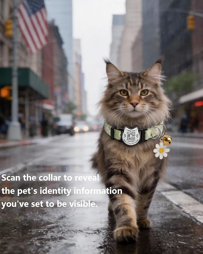 QR Code Cat Collar with Breakaway Safety Buckle, Adjustable Cotton Kitten - Image 2
