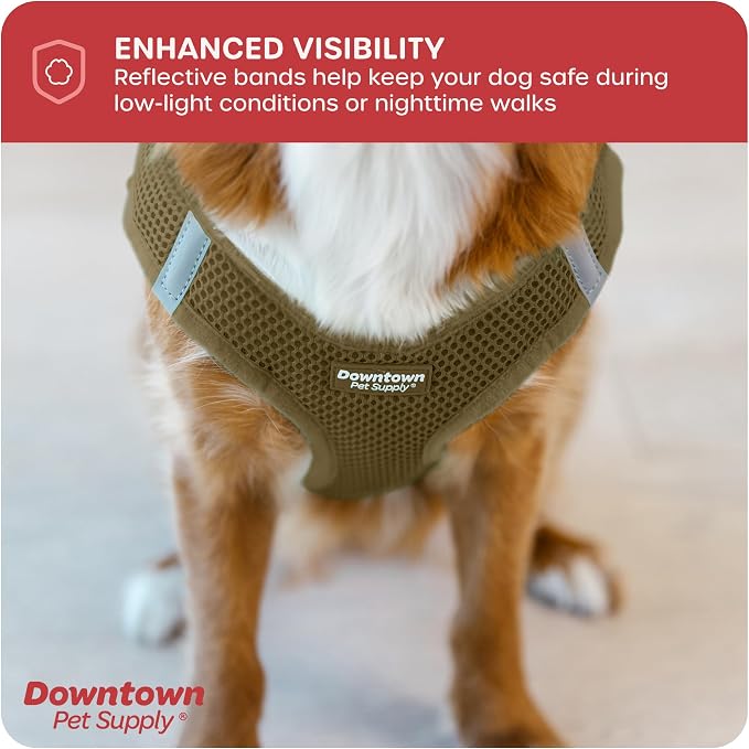 Downtown Pet Supply Step-in Dog Harness – No Pull, Adjustable Padded Mesh - Image 7