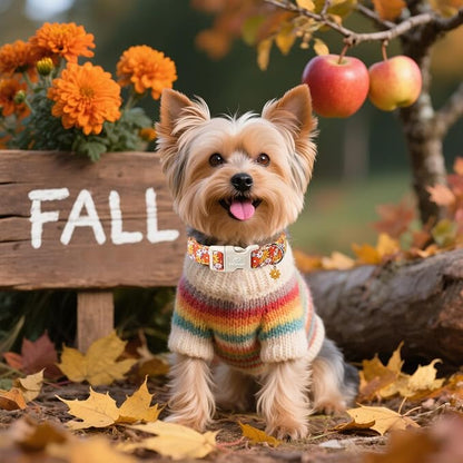 Fall Dog Collar Vintage Daisy Puppy Collar - Image 5